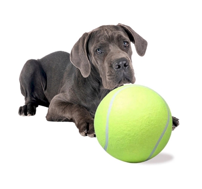 Picture of RoGer Giant Tennis Ball Dog Toy XXL