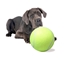 Picture of RoGer Giant Tennis Ball Dog Toy XXL