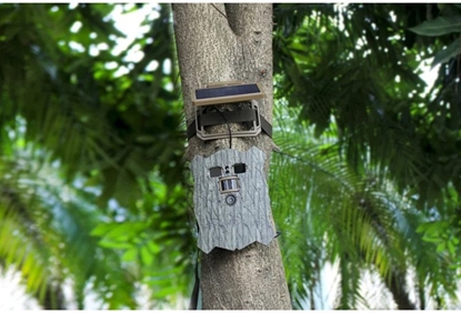 Изображение Stealth Gear trail camera Owl Solar 4K