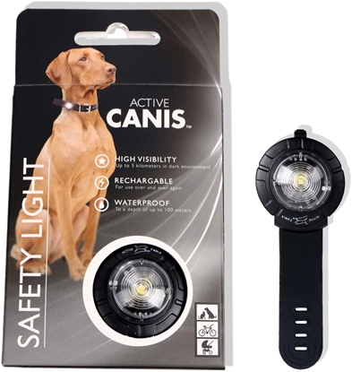 Изображение TopCom Active canis - Safety Lights White Rechargeable - (48090) /Dogs