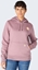Picture of Visent Bluza Carhartt Iconic Clarksburg Logo ASH BERRY HE
