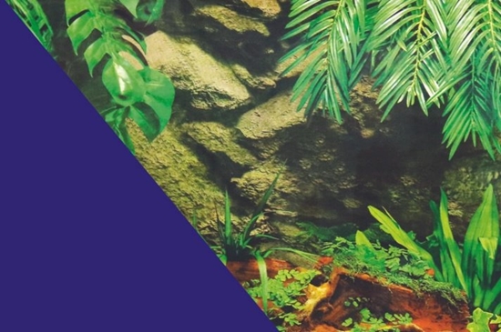 Изображение Zolux ZOLUX To do akwarium dwustronne podwodna palma/niebieskie 40 x 60 cm