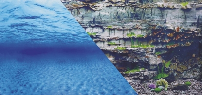 Изображение Zolux ZOLUX To do akwarium dwustronne woda/podwodna skaa 60 x 120 cm