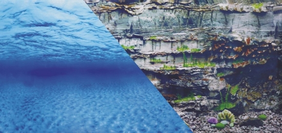 Изображение Zolux ZOLUX To do akwarium dwustronne woda/podwodna skaa 60 x 120 cm