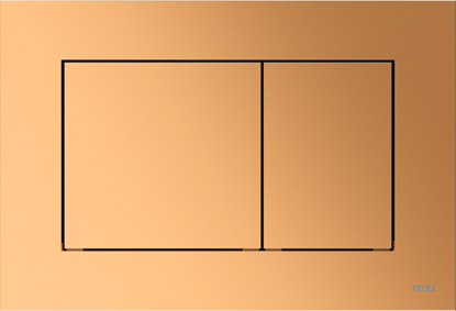 Picture of TECEnow WC plāksne (9240419) misiņš