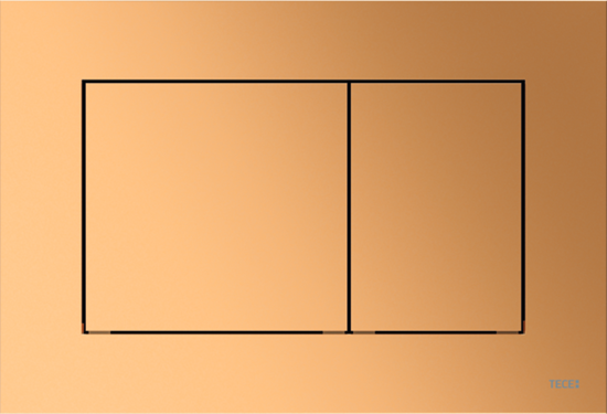 Picture of TECEnow WC plāksne (9240419) misiņš