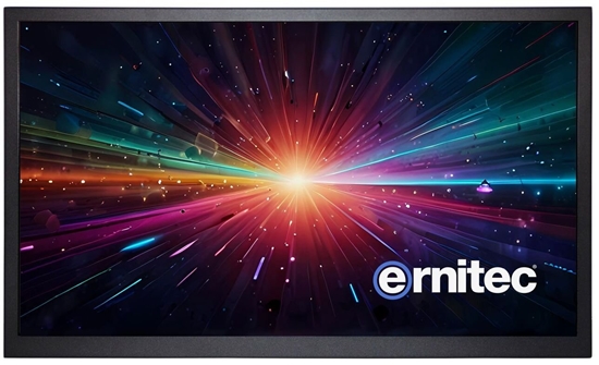 Изображение 10" Surveillance monitor for