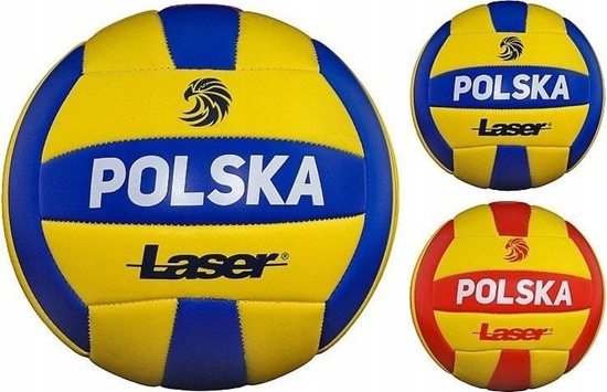 Изображение Adar Pika siatkowa 492912