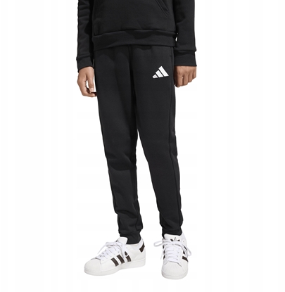 Picture of Adidas Spodnie adidas ENTRADA 26 Sweat Panty Junior JZ9136