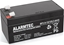 Picture of Alarmtec Akumulator 12V 3.6Ah AGM Alarmtec BP3.6-12
