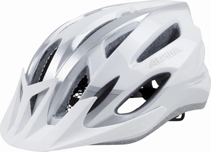 Picture of Alpina Kask rowerowy ALPINA MTB17 biao-srebrny 54-58