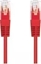 Picture of C-Tech C-TECH kabel patchcord Cat5e, UTP, czerwony, 3m
