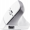 Picture of Datorpele Trust Bayo+ Ergonomic White