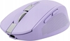 Picture of Datorpele Trust Ozaa Purple