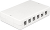 Picture of Delock Keystone Surface Mounted Box 12 Port