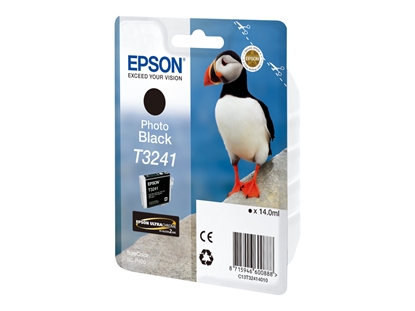 Изображение Epson ink cartridge photo black T 324                     T 3241