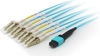 Picture of Equip MTP/MTP Trunk Fiber Optic Patch Cable, OM4, 3m