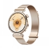 Picture of HUAWEI WATCH GT 6 (41MM) GOLD
