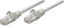 Изображение Intellinet Network Solutions INTELLINET NETWORK SOLUTIONS INTELLINET NETWORK SOLUTIONS 336628 1.5 Patchcord