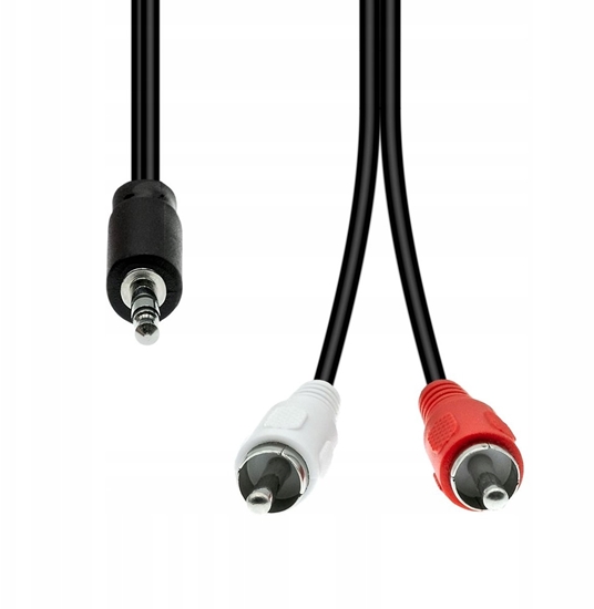 Изображение Kabel ProXtend Mini-Jack 3-Pin to 2 x RCA Cable M-M Black 2M