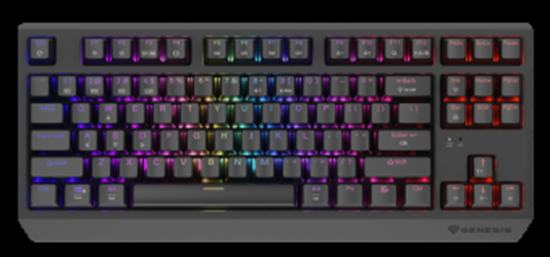Picture of Klaviatūra Genesis Thor 230 TKL Outemu Red