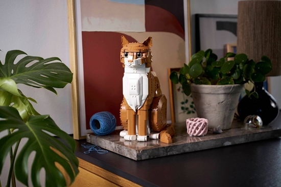 Picture of LEGO Ideas Rudy kot (21376)