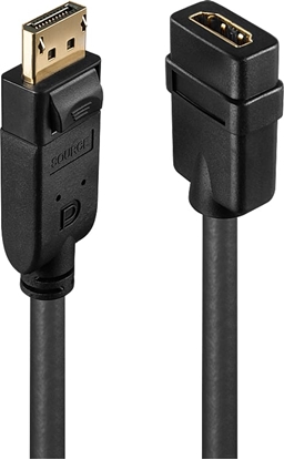 Attēls no Lindy DisplayPort to HDMI Passive Converter
