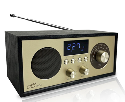 Attēls no LTC BRDA FM Portable Radio