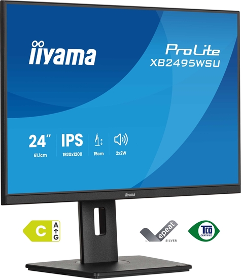 Picture of Monitor iiyama ProLite XB2495WSU-B1