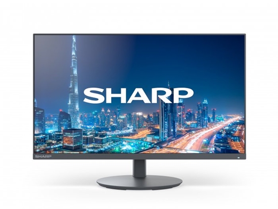 Picture of Monitor Sharp sharp Monitor MultiSync DD-E244FL 24 cale Czarny
