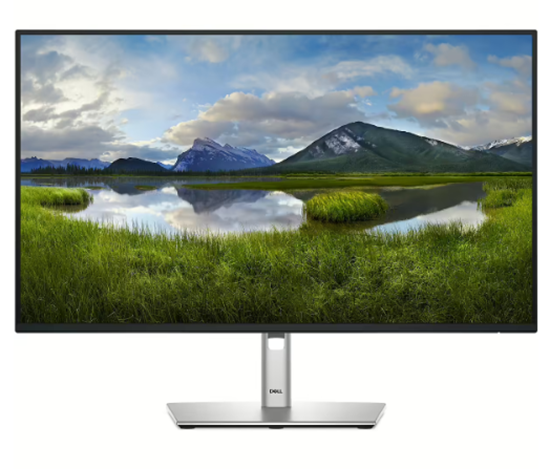 Picture of Monitors Dell P2425H 24" 1920 x 1080
