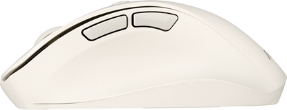 Изображение MOUSE USB OPTICAL WRL MD105/MK-WH 90XB0AH0-BMU000 ASUS