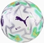 Picture of Puma Pika Puma Orbita Play Thrill Premier League 084719-01