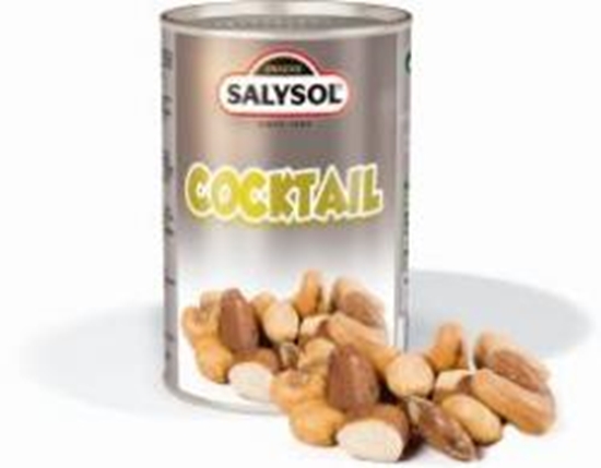 Picture of Riekstu kokteilis SALYSOL, 100g