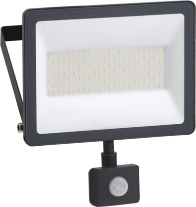 Attēls no Schneider Electric Mureva prožektors 50W 4000K, IP65, Infrasarkanais kustības sensors, 230V