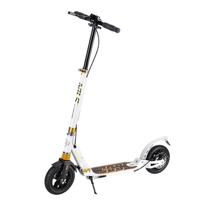 Attēls no Skrejritenis HM209T WHITE-GOLD SCOOTER NILS EXTREME