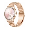 Picture of Smartwatch Colmi L28 Zoty  (L28 gold steel)