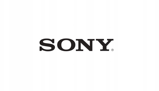 Picture of Sony pilot RMF-TX500E