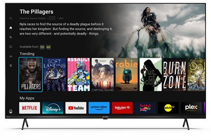 Attēls no Telewizor LED 50 cali 50GK4445E