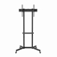 Attēls no TV stiprinājums Gembird 37" - 70" TV floor stand with caster wheels