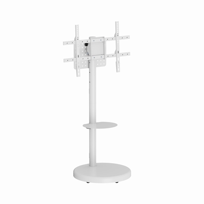 Attēls no TV stiprinājums Gembird 37" - 86" TV floor stand