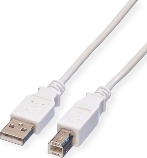 Picture of USB 2.0 kabelis, A-B, M/M, balts, 1.8m, Value
