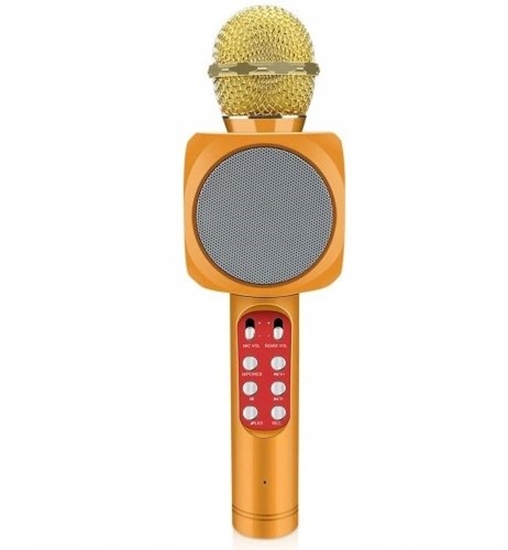 Picture of WS-1816 16W karaoke BT microphone with LED 360 Gold
