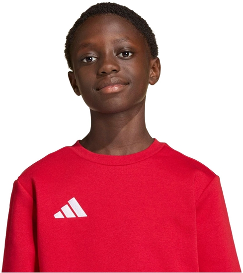 Picture of Adidas Bluza adidas ENTRADA 26 Sweat Top Junior JZ6556