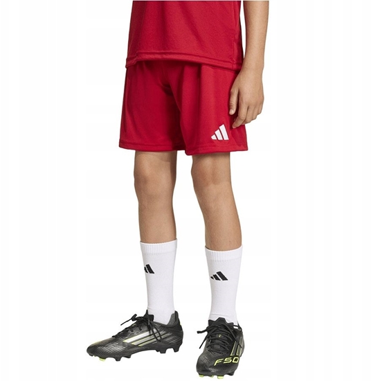 Picture of Adidas Spodenki adidas ENTRADA 26 Short Junior JZ6528