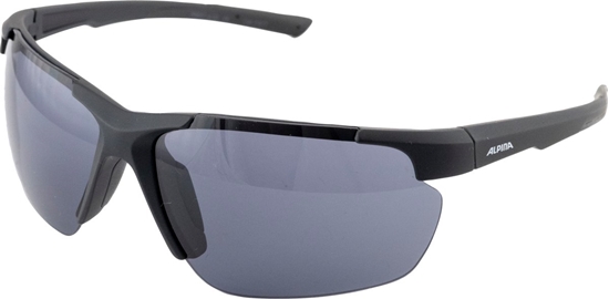 Picture of Alpina Okulary ALPINA DEFEY HR kolor BLACK MATT szko black Cat. 3