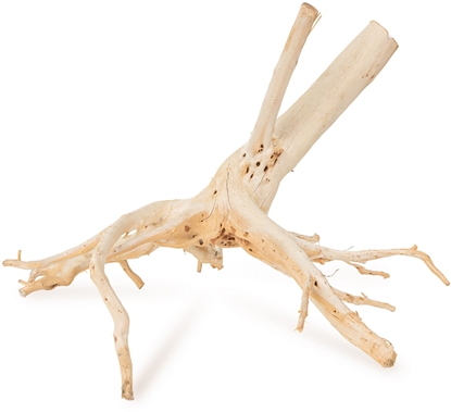 Picture of AquaNatura Drewno Drewno Drewno Thanh Lieu rozmiar S, 20cm-35cm