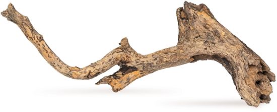 Изображение AquaNatura Drewno Slight Wood rozmiar  XL, 40cm-50cm