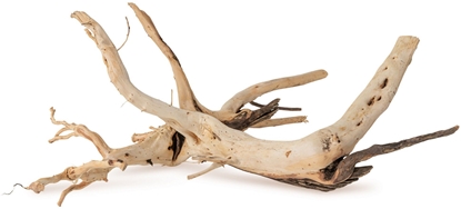 Изображение AquaNatura Drewno Thanh Lieu rozmiar M 35cm-50cm