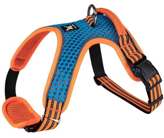 Picture of Barry King Szelki, dla psa, niebiesko-pomaraczowe, odblaskowe, rozmiar S, podkadka pod szyj, ob.szyi 38-49cm/ob.klatki 41-63cm